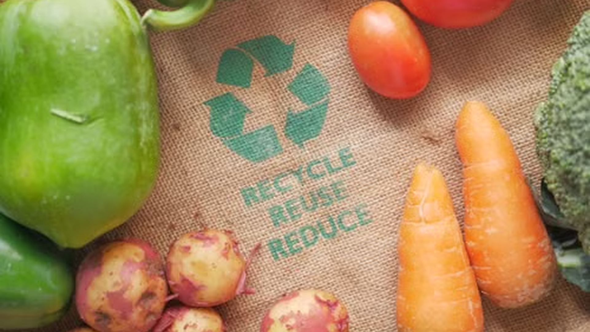 Recycle, reuse, reduce food waste